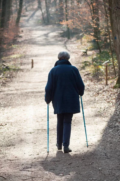 Portret Staruszki Kijami Chodzenie Ten Sposób Lesie Widok Tyłu — Zdjęcie stockowe