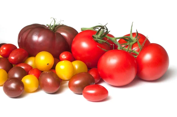 Group of various tomatoes en white background — Stock Photo, Image