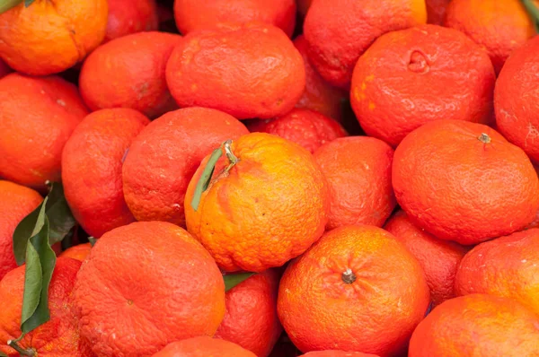 Closeup of hybrid oranges at the market — Stock Photo, Image