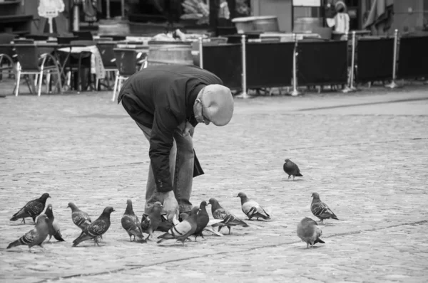 Retrato del anciano alimentando palomas en el lugar principal — Foto de Stock