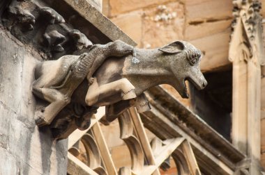 Fransa'da Colmar katedrali üzerinde gargoyles yakın çekim