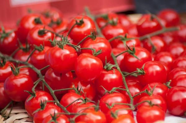 Крупный план помидоров черри на рынке — стоковое фото