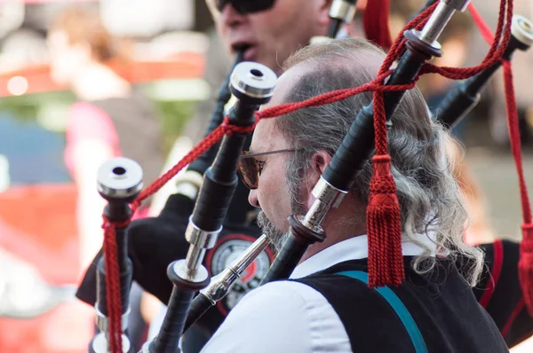 Músico tradicional escocés en el lirio de la fiesta del valle en la calle —  Fotos de Stock