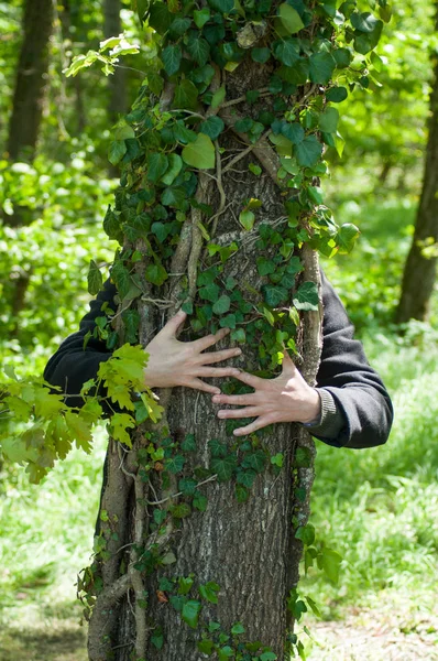 Крупный план человека, обнимающего дерево в лесу — стоковое фото