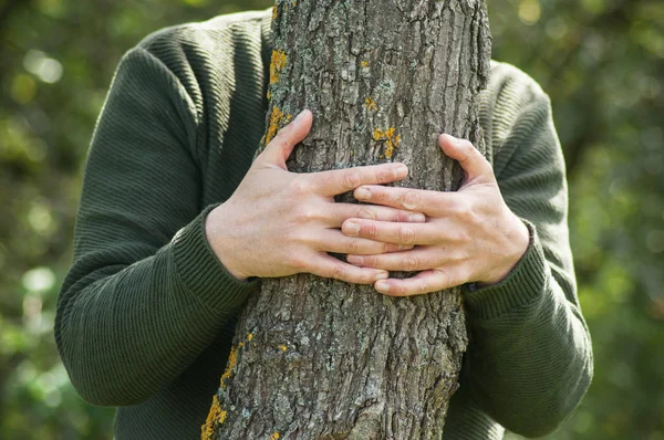 Zbliżenie człowieka przytulanie drzewa w lesie — Zdjęcie stockowe