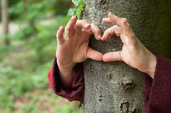 Closeup rukou ženy ve tvaru srdce na kmeni stromu — Stock fotografie