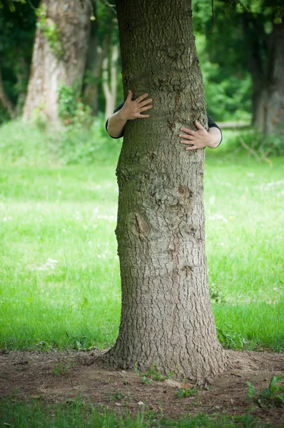 Zaostřená ženy, která objímá strom v lese — Stock fotografie