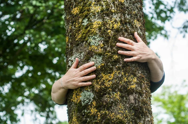 Closeup of woman hugging a tree in a forest — Stock Photo, Image