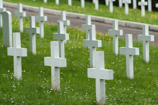 Närbild av vit kors anpassning på Militärkyrkogård — Stockfoto