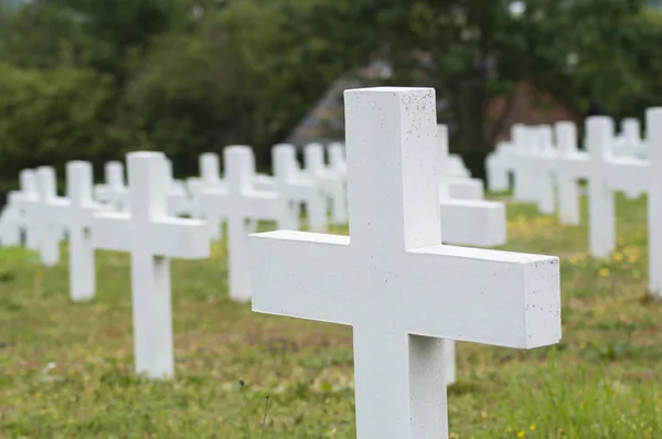 closeup of white cross alignment at military cemetery