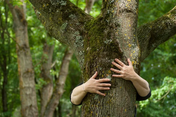Šata ženy objímat kmen stromu v lese — Stock fotografie