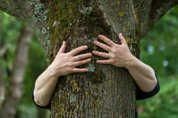 Šata ženy objímat kmen stromu v lese — Stock fotografie