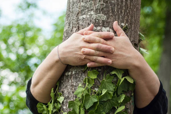 Close-up van vrouw knuffelen een boomstam in een bos — Stockfoto