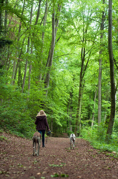 portrait of woman walking in the forest with dogs on back view 