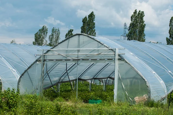 Closeup of greenhouse in a field — Stock Photo, Image