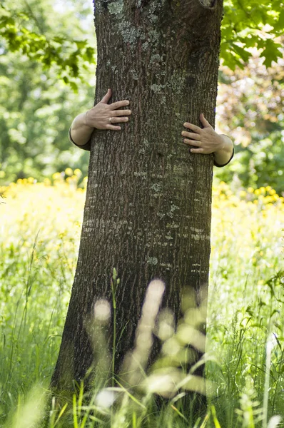 Closeup of woman hugging a tree trunk in a meadow — Stock Photo, Image