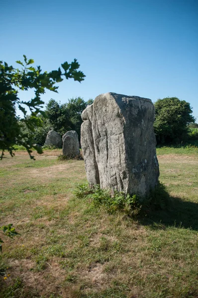 Vista de la famosa alineación de megalitos en Carnac Bretaña Francia — Foto de Stock