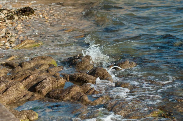 Nahaufnahme einer Welle auf Felsen im Grenzmeer in Quiberon — Stockfoto