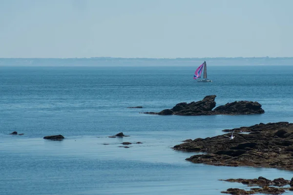 Quiberon vahşi kıyısında Atlantik Okyanusu'nda yelkenli görünümü — Stok fotoğraf