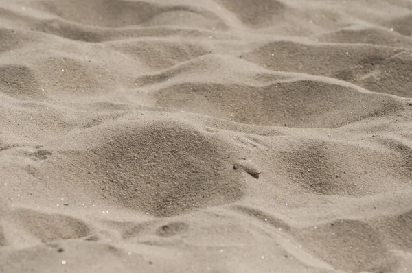 kum plaj doku closeup