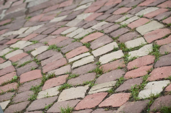 Closeup  of geometric cobbles in the street — Stock Photo, Image