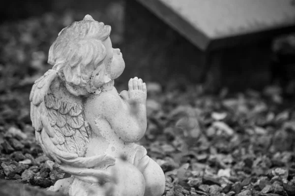 Closeup sjetý Angel se modlí na hrob na hřbitově — Stock fotografie