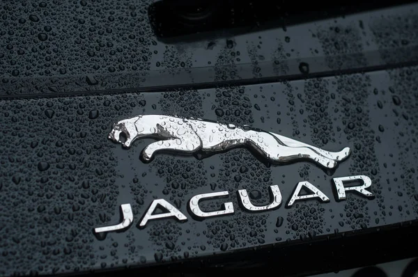 Gotas de lluvia en el logotipo de Jaguar en el coche negro estacionado en la calle — Foto de Stock