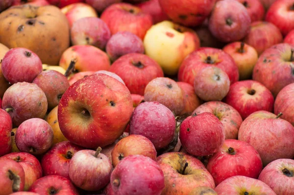 Closeup of organic red apples stack at the market — Stock Photo, Image