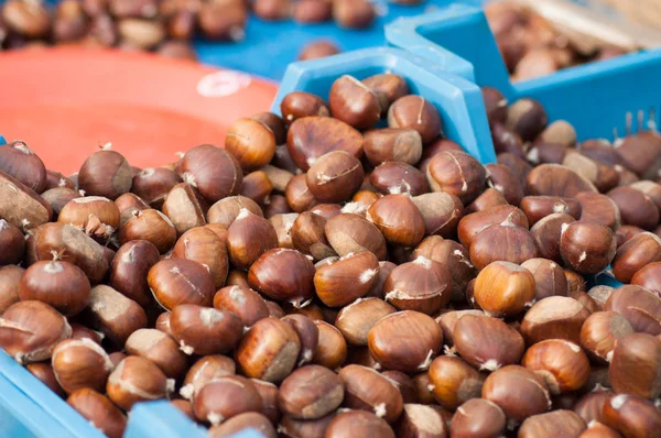 Primer plano de la pila de castañas frescas en el mercado — Foto de Stock