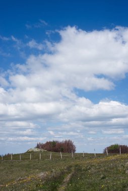 Alsace 'de büyük balonla yürüyüş için dağ manzarası 