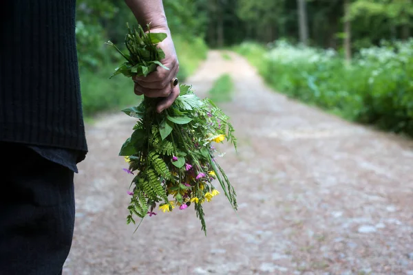 Primer Plano Mujer Caminando Con Ramo Flores Silvestres Bosque —  Fotos de Stock