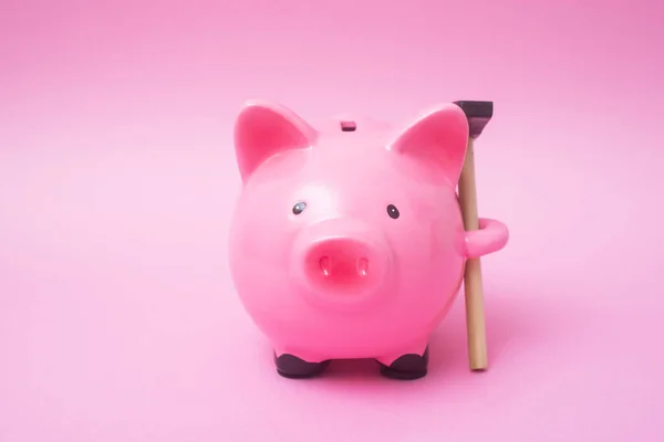 Closeup Pink Piggy Bank Pink Background — Stock Photo, Image