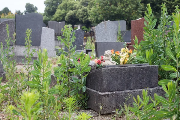 Närbild Övergiven Grav Kyrkogård — Stockfoto