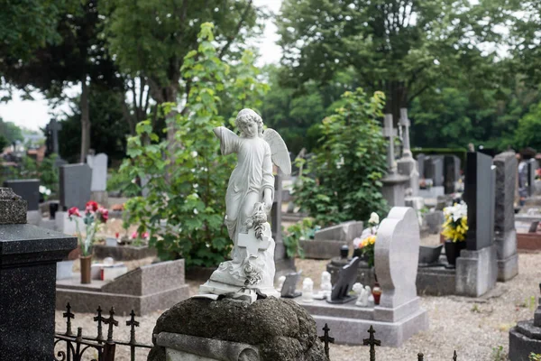 Primer Plano Del Ángel Apedreado Tumba Cementerio —  Fotos de Stock