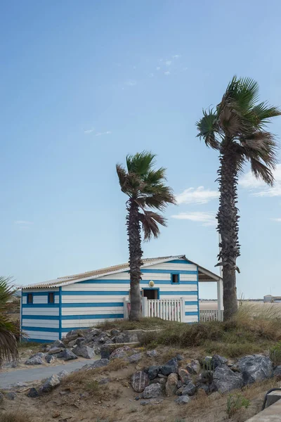 Pohled Palmu Dřevěnou Chatu Pláži Modrém Pozadí Oblohy — Stock fotografie