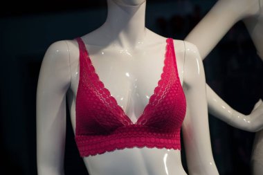 Moda mağazasının kadınlar için galerisinde kırmızı sütyene yakın plan.
