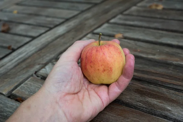 Primer Plano Manzana Orgánica Mano Sobre Fondo Mesa Madera — Foto de Stock