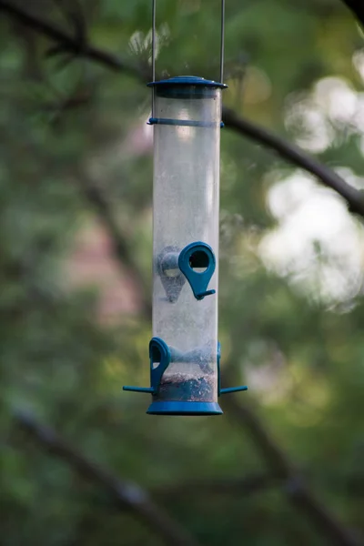 Primer Plano Casa Aves Suspendida Rama Árbol Jardín — Foto de Stock