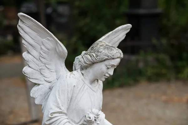Closeup of stoned angel on tomb in a cemetery