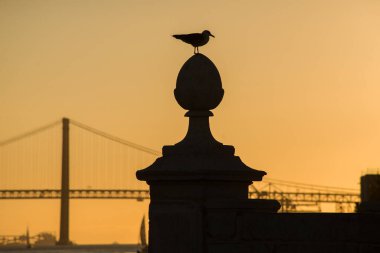 Martı silueti ve ünlü 25 Nisan süspansiyon köprüsü silueti günbatımı arka planında