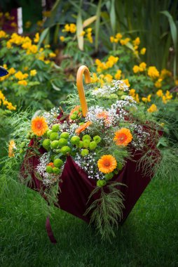 Halka açık bir bahçede şemsiyeli renkli çiçeklerin yakın çekimi