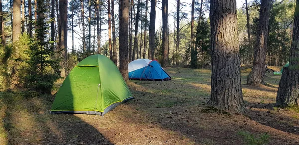 Viaje de vacaciones con tienda de campaña viaje inspiración estilo de vida relajación camping con tienda de campaña, vacaciones salvajes senderismo en el bosque con los diez —  Fotos de Stock