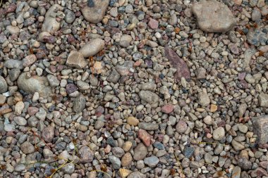 Renkli çakıl taşlarının arka planı. Renkli çakıl taşlarının dokusu