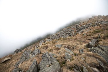 Beskid dağlarındaki Babia Gora Ulusal Parkı sisli Polonya