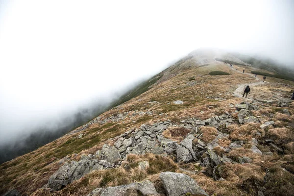 Parque Nacional Babia Gora Nas Montanhas Beskid Nevoeiro Polônia — Fotografia de Stock