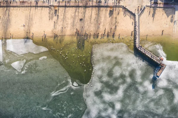 Lago Ghiacciato Nella Giornata Sole Inverno Dabrowa Gornicza Lago Pogoria — Foto Stock