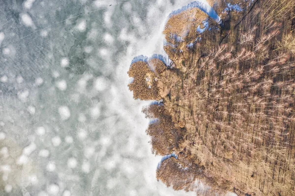 Κατεψυγμένα Λίμνη Στην Ηλιόλουστη Μέρα Χειμώνας Dabrowa Gornicza Λίμνη Pogoria — Φωτογραφία Αρχείου