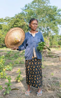 MRAUK U, RAKHINE Eyaleti / MYANMAR - 7 Aralık 2015: Yüzünde Myanmar Asia dövmesi olan yaşlı bir Chin kadınının portresi