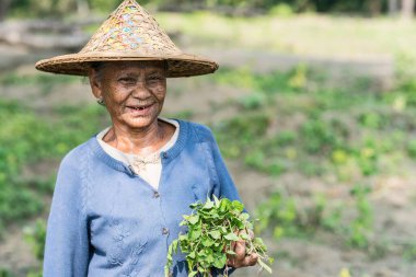 MRAUK U, RAKHINE Eyaleti / MYANMAR - 7 Aralık 2015: Yüzünde Myanmar Asia dövmesi olan yaşlı bir Chin kadınının portresi