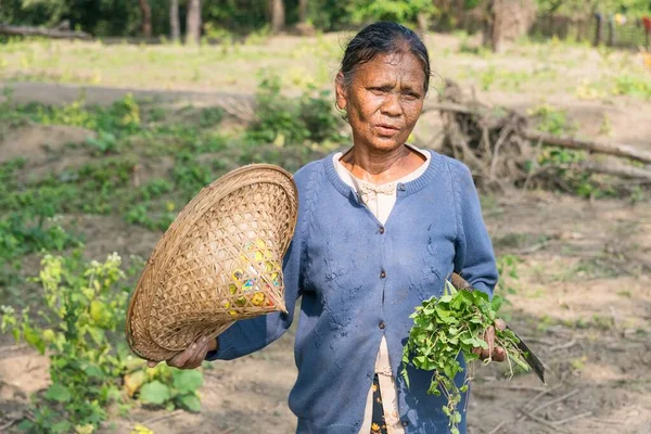 Mrauk Rakhine State Myanmar December 2015 Portrait Old Chin Woman — 图库照片